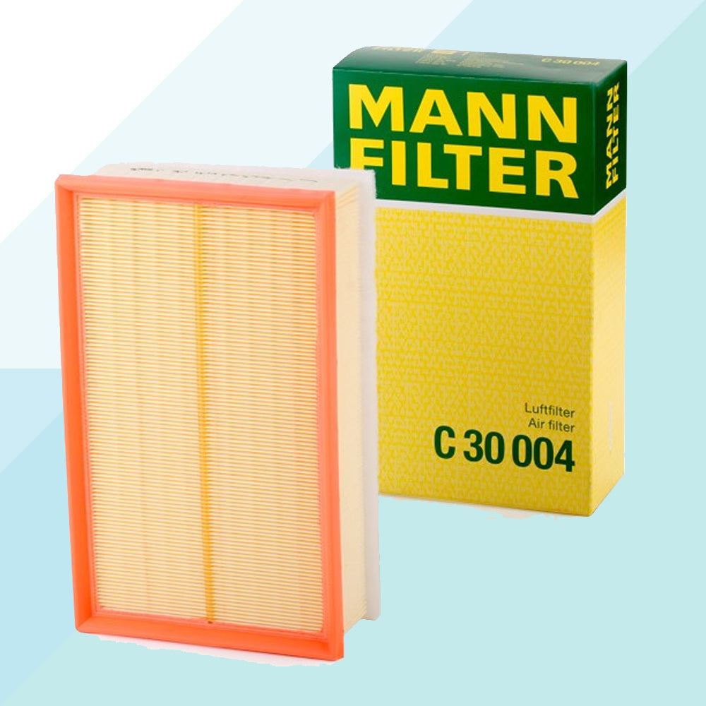 Mann-Filter C30004 Filtro Aria Cartuccia Filtro per Audi Seat Skoda Volkswagen (8896704840017)