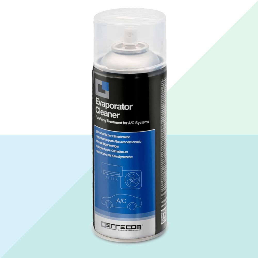 Errecom Evaporator Cleaner - Pulitore in Bombola Aerosol per Climatizzatori (400ml) FERPCPUL04 (6030110392478)