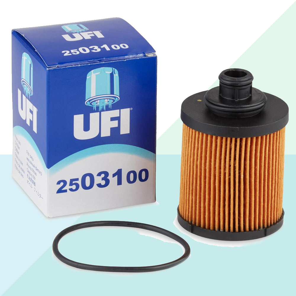 UFI 25.031.00 Filtro Olio Cartuccia Filtro per Alfa Romeo Fiat Ford Lancia (6677407269022)