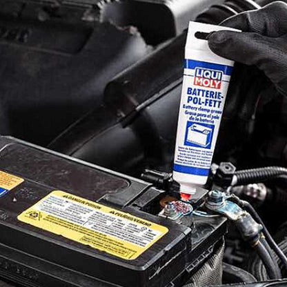 Liqui Moly 3140 Grasso per Poli Batteria Protettivo Corrosione ed Ossidazione (8765182509393)