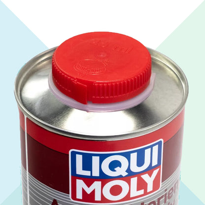 Liqui Moly 21317 Additivo Diesel Anti-Batterico Biocida Contro Batteri 1 Litro (9742912979281)